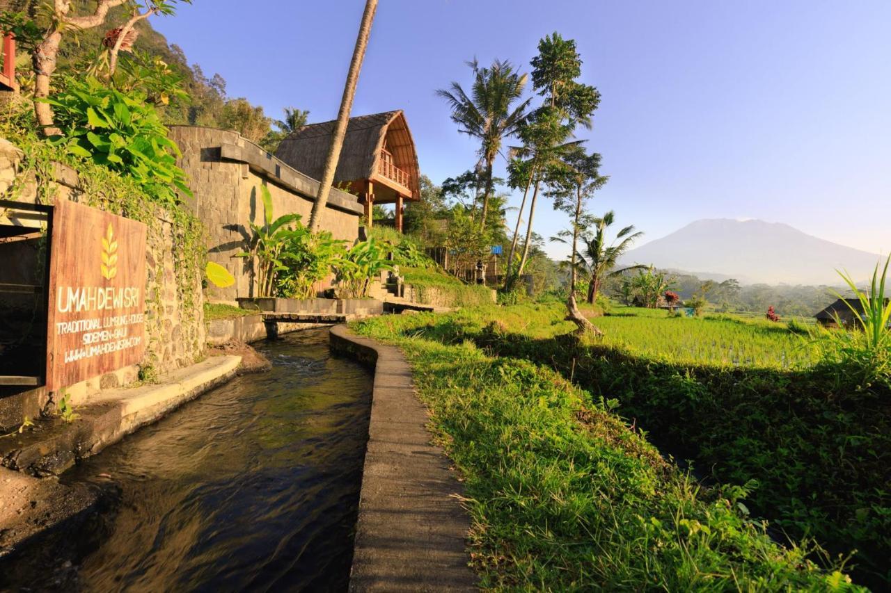 Like Living In A Romantic Balinese Painting Sidemen  Exterior photo